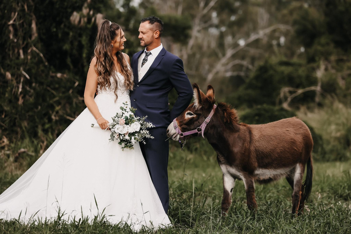 rebecca and dan meet clancy, the miniature donkey for a photo opportunity during their wedding at bearded dragon hotel
